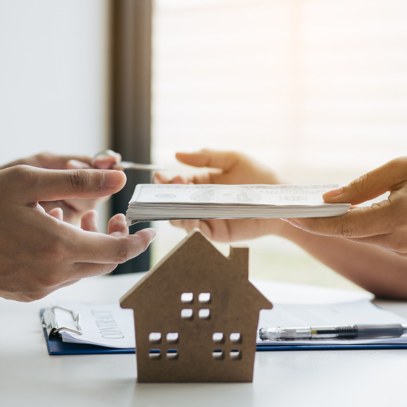 Me encargo de la gestión administrativa y legal